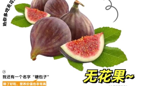 乳房拍片 哺乳期能拍吗-乳房拍片 哺乳期网 - 浦乳期拍胸片可以喂奶吗,乳房拍片 哺乳期可以拍吗